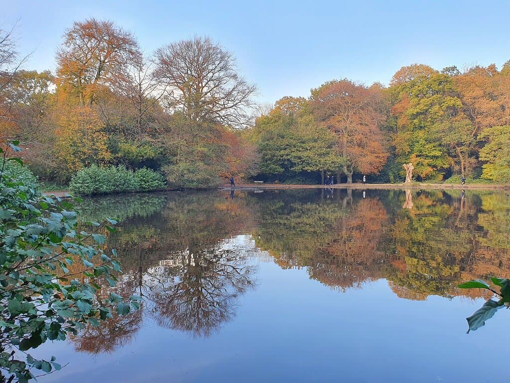 Autumn at the Lake