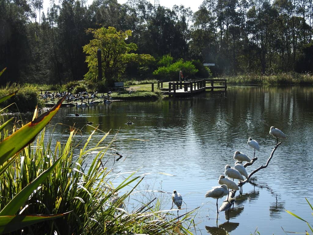 Rehabilitated Wetlands