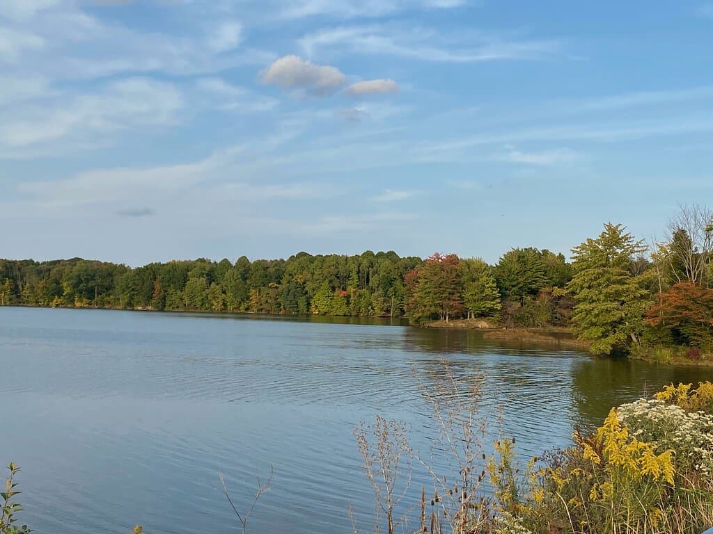 View of lake