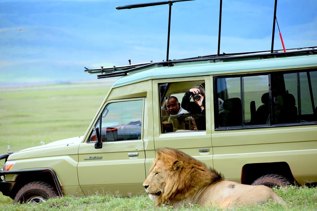 Did you miss to see lions on your visit to Ngorongoro Crater? I guess NOT