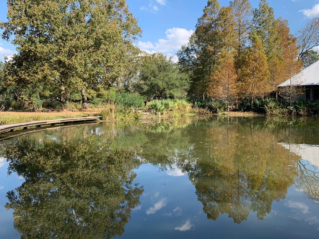 Serene