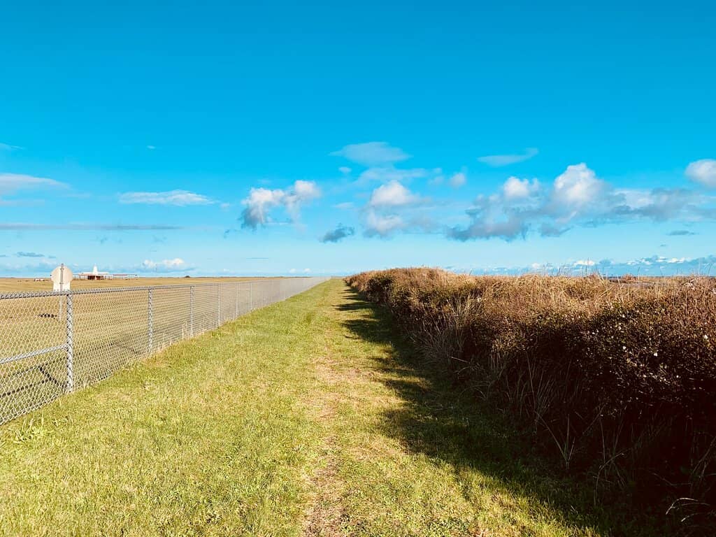 Coastal Birdwatching