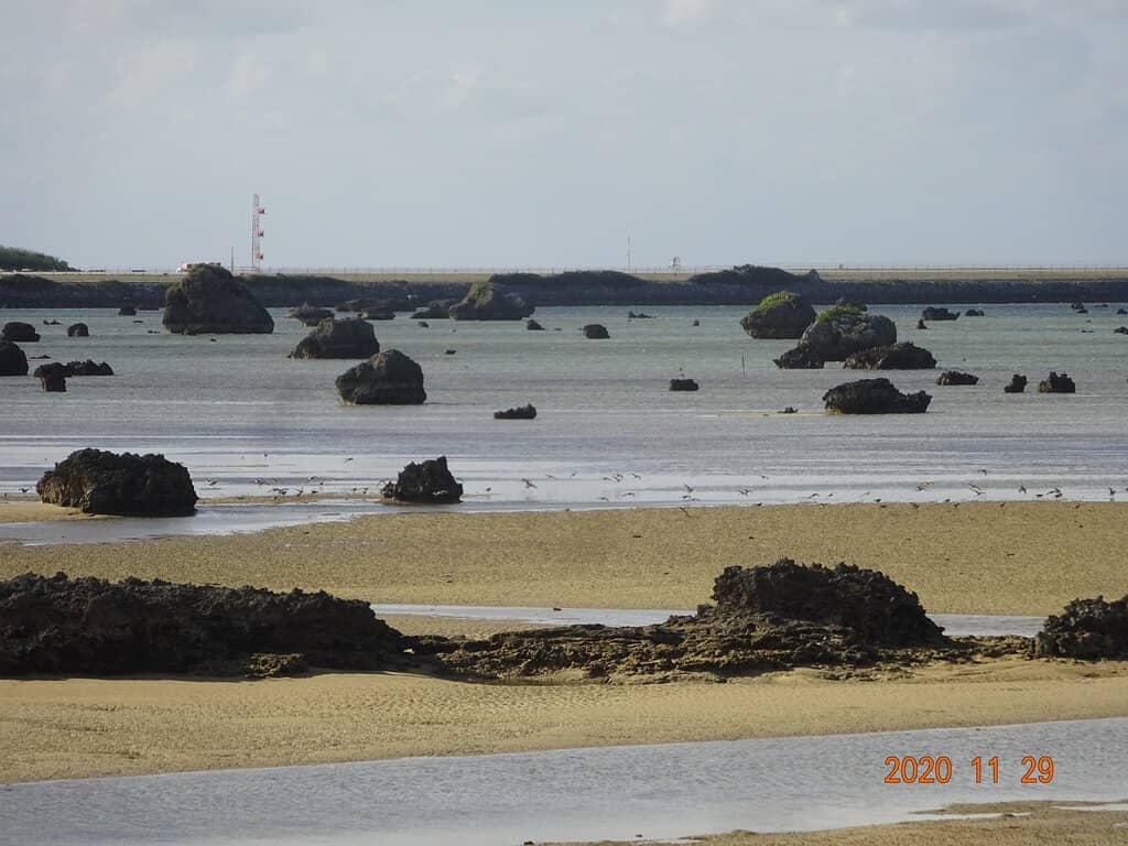 Tsunami Rock Formations