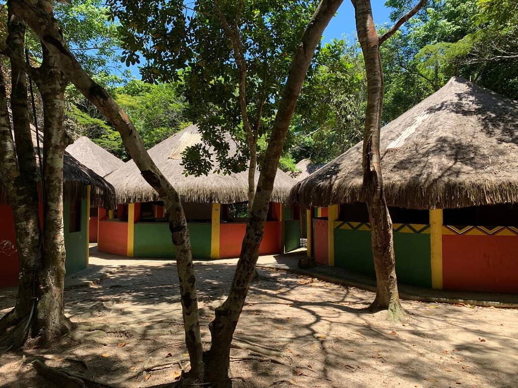 Cultural Immersion and Learning