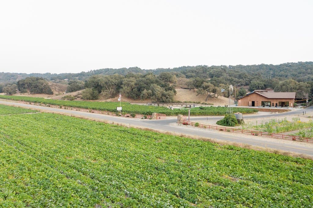 View of our estate.