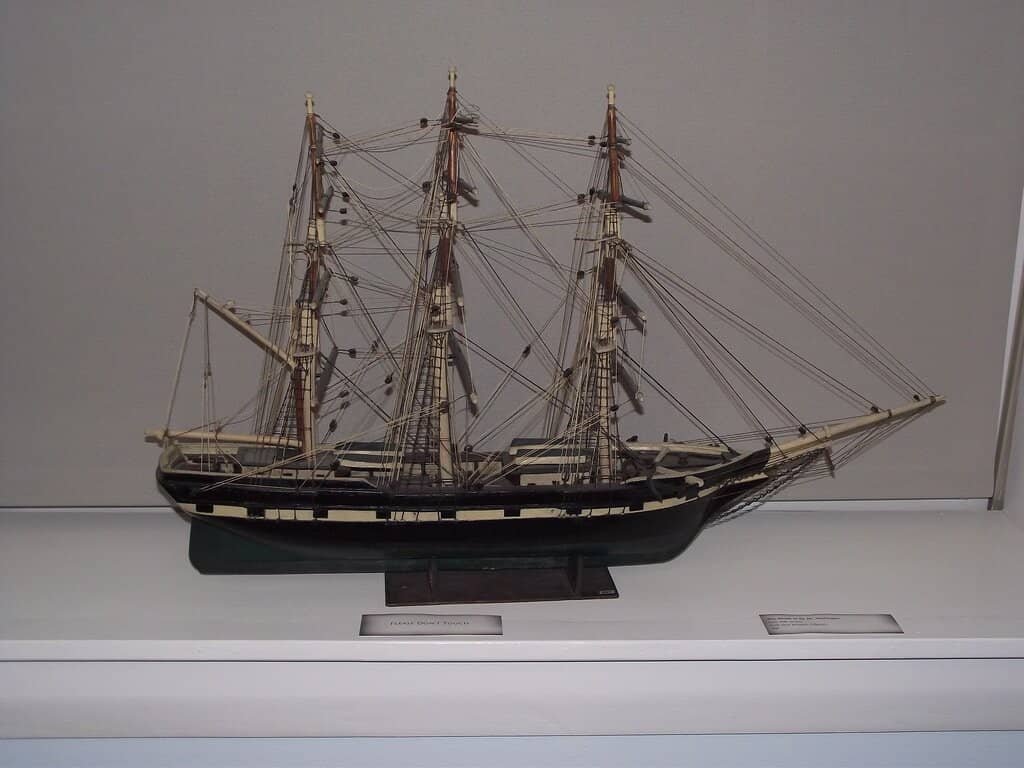 Minke Whale Skeleton