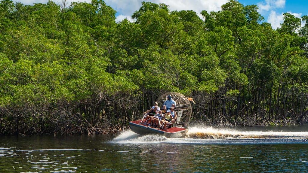 Airboat Ride