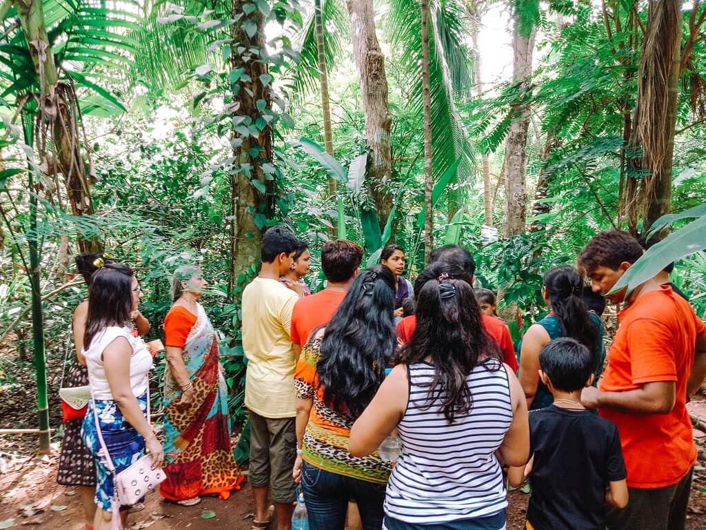 Aromatic Spice Trails