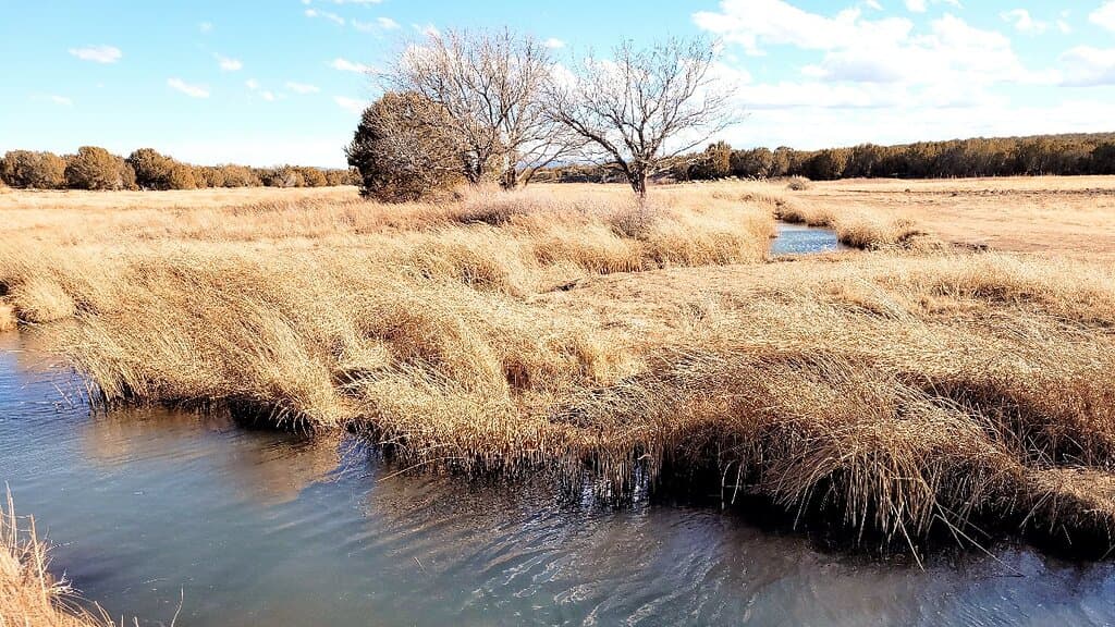 Galena Creek Fish Hatchery