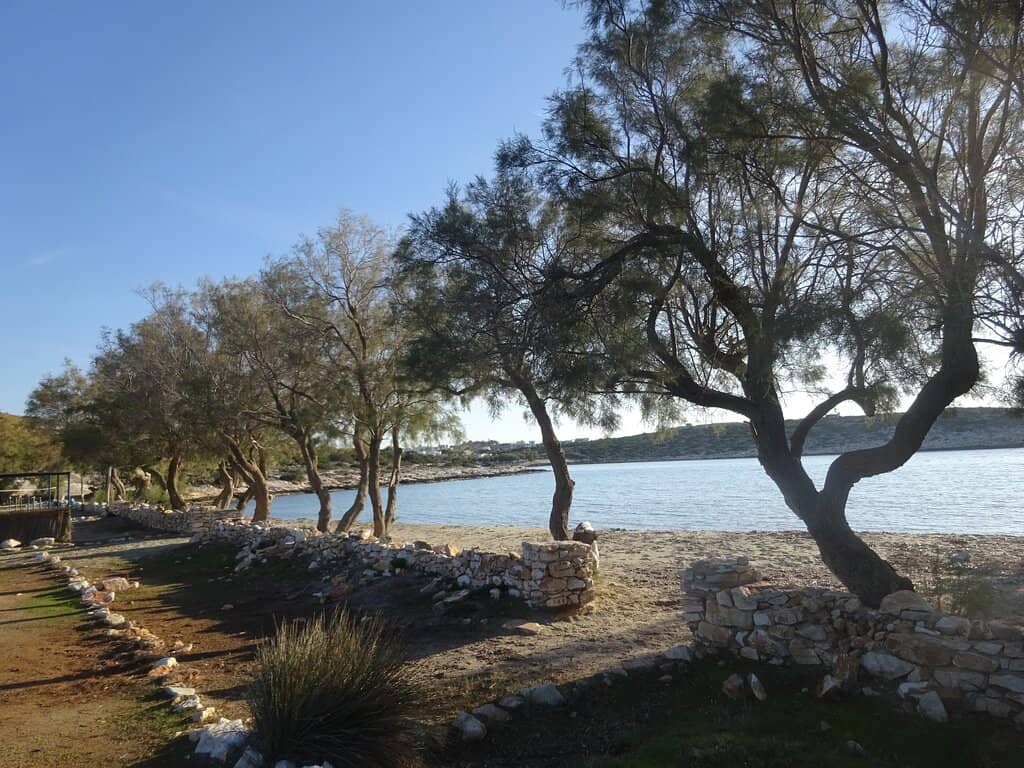 Tranquil Cove Experience