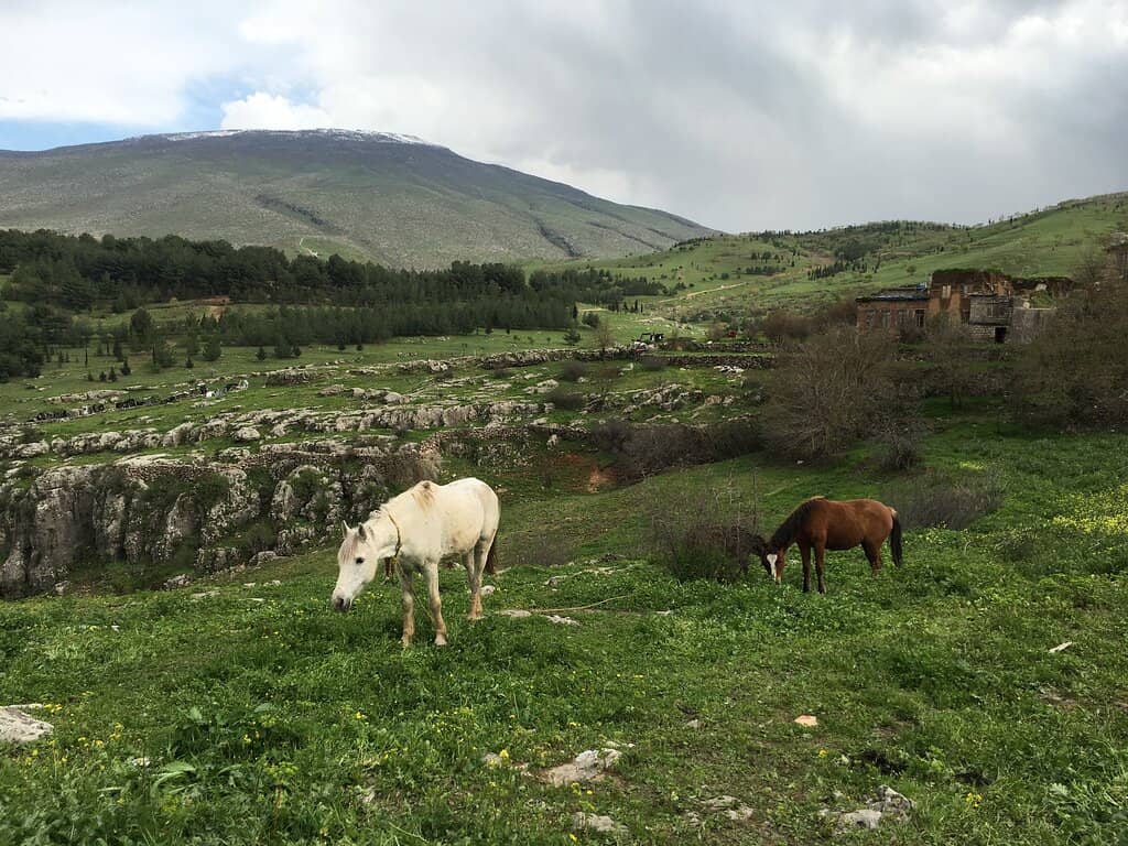 Panoramic Hilltop Vistas