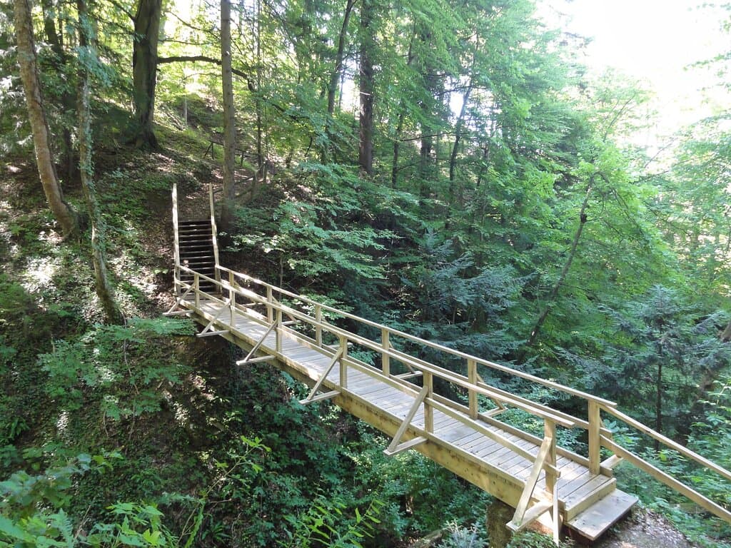 Little Dragon`s Forest Eductional Trail in Slovenske Konjice