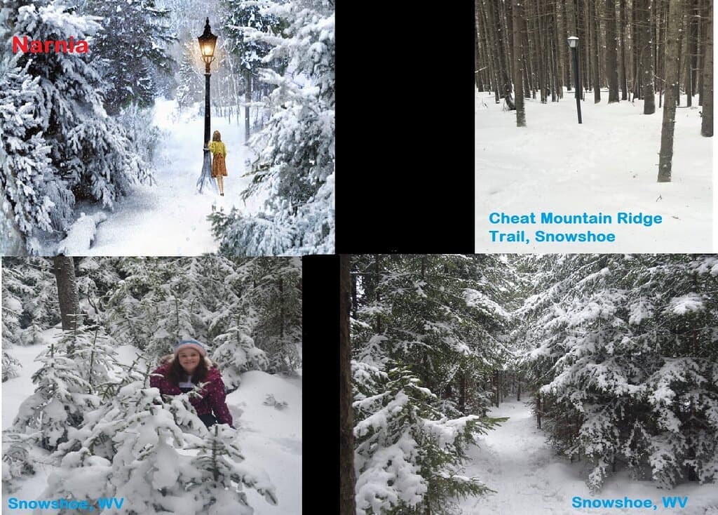 We found the lightpost near the start of the Cheat Mountain Ridge trail. Snow was all over the trees and some drifts were more than knee deep.