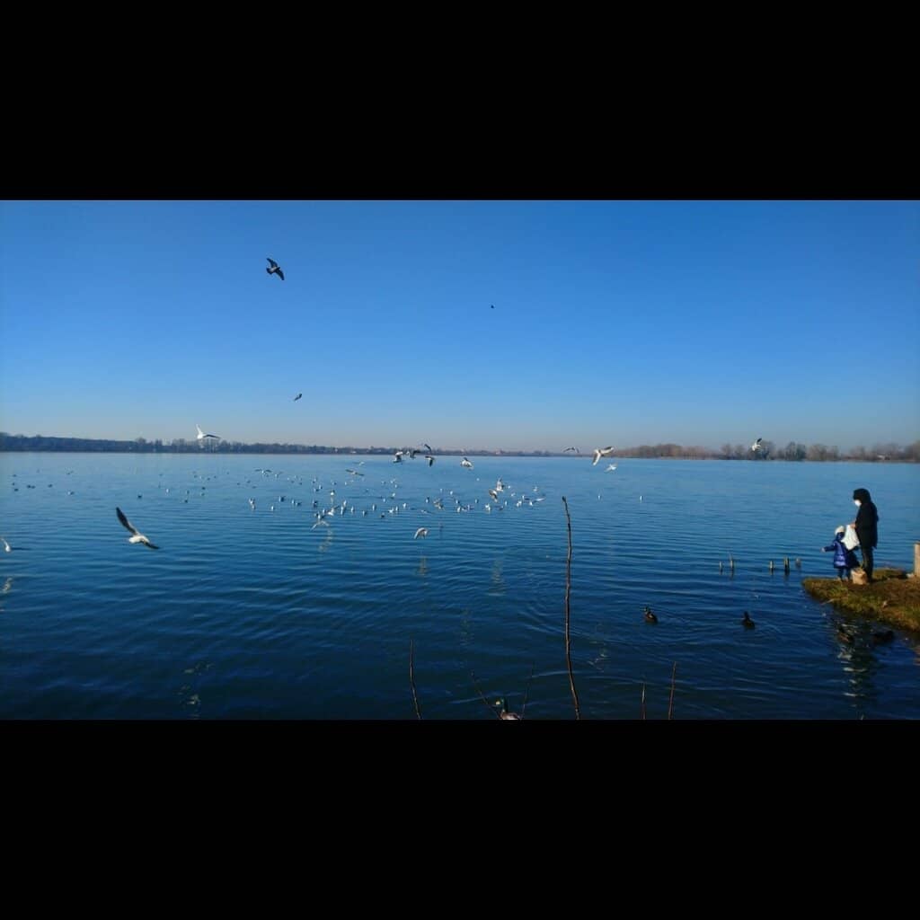 Boat Trips on the Mincio