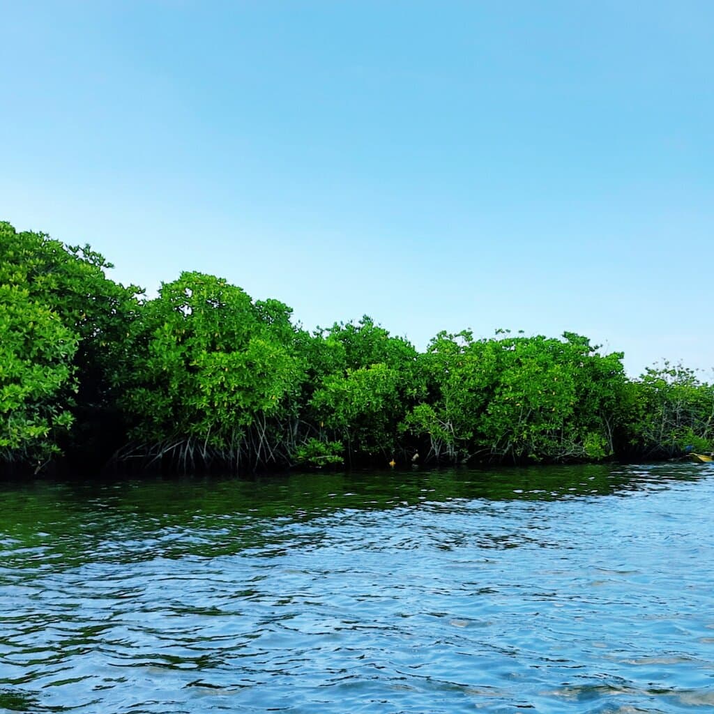 Weekend ride... 🛶🛶🛶