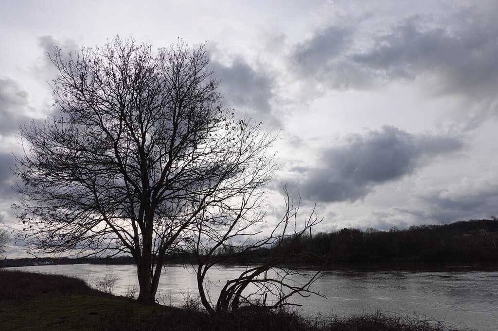 Eijsder Beemden Nature Reserve