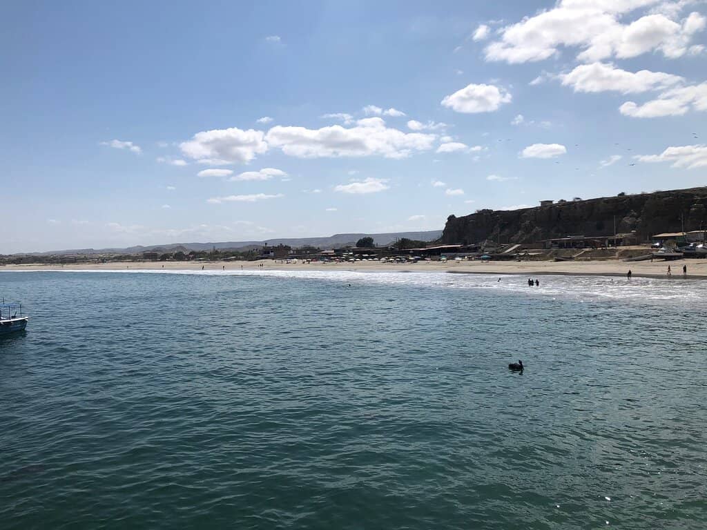 Whale Watching Tours