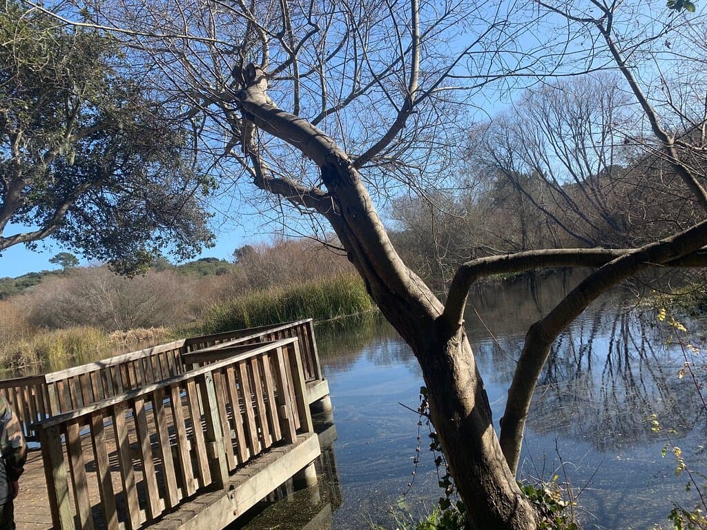 Frog Pond Wetland Preserve