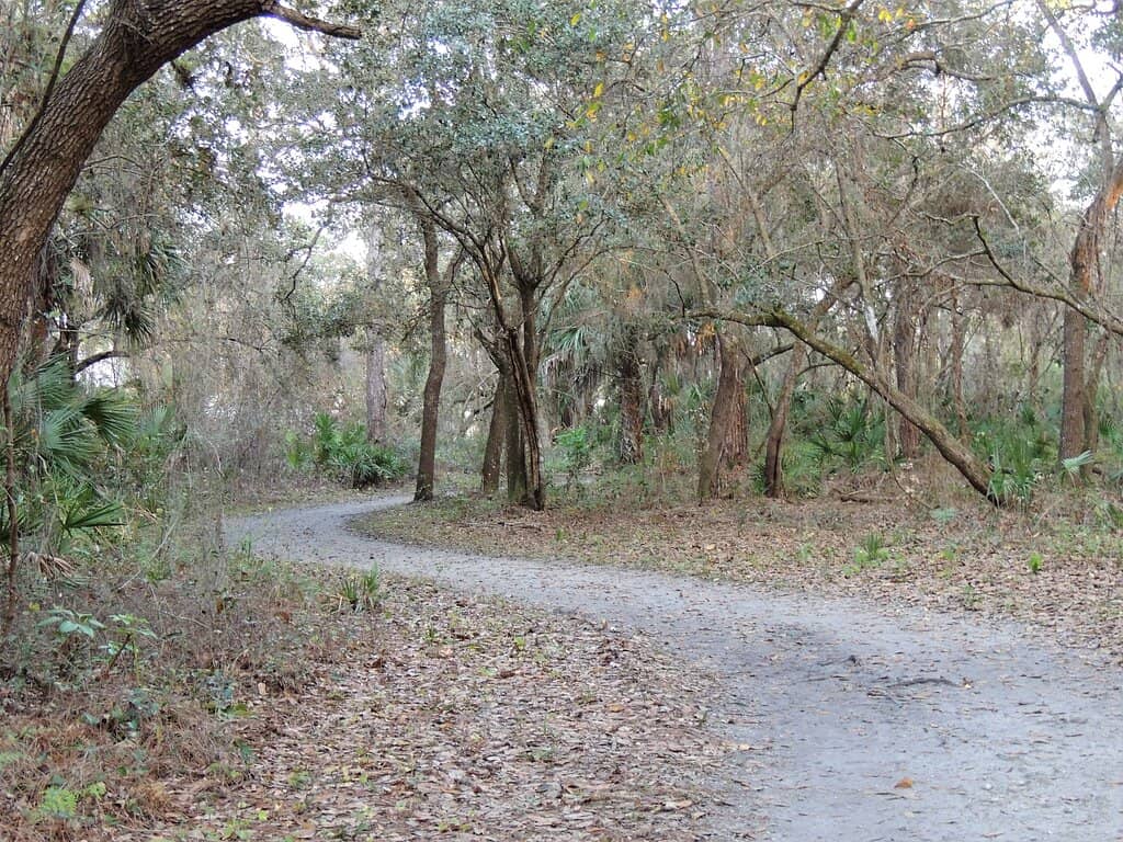 Kids' Play Structures