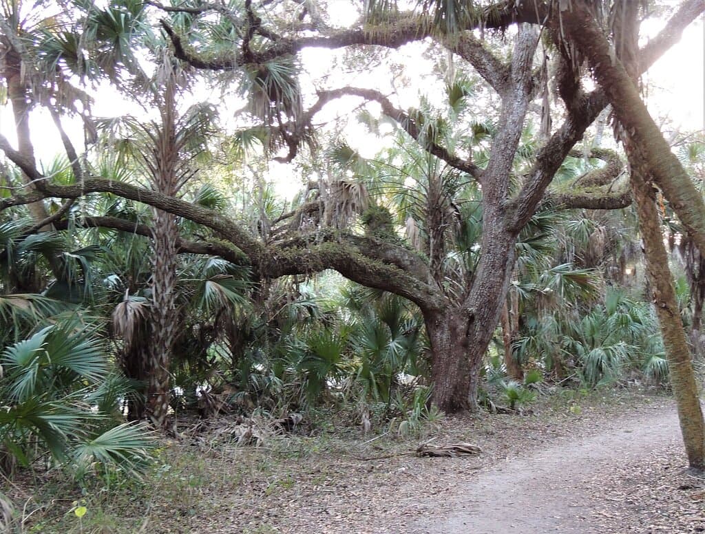 Live aok ling the trail