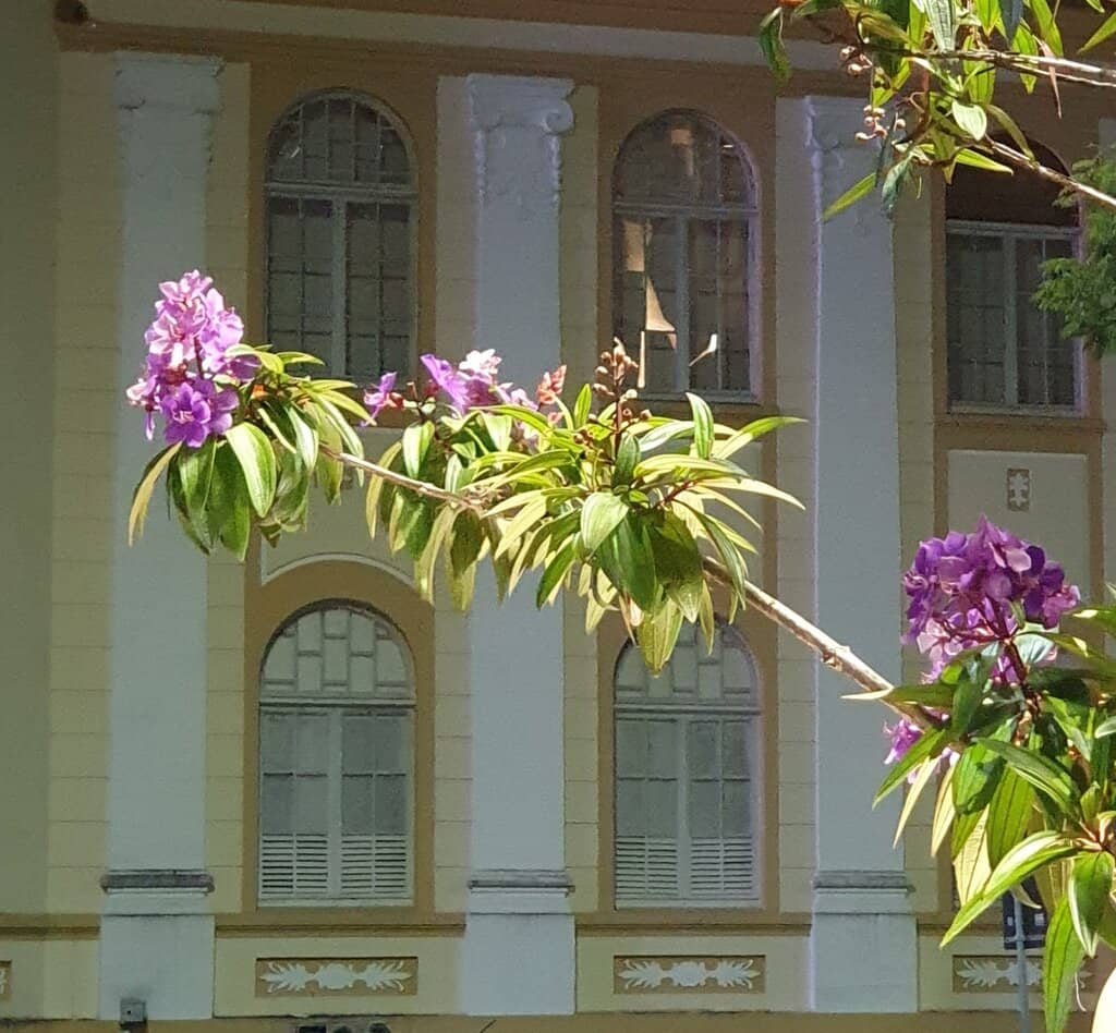 Casa da Cultura Dide Brandão