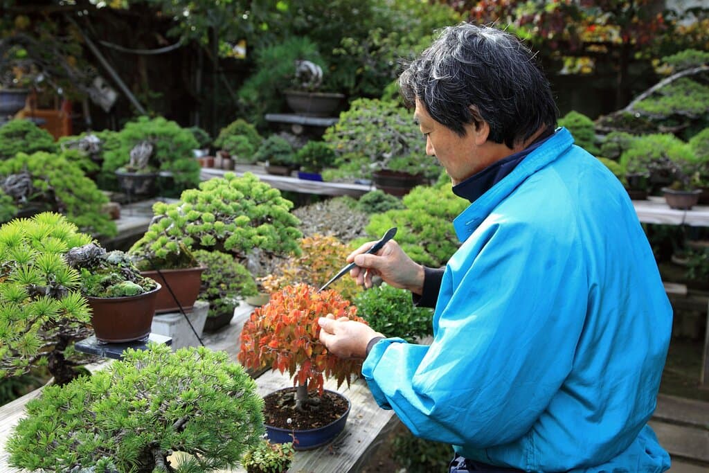 Omiya Bonsai Village
