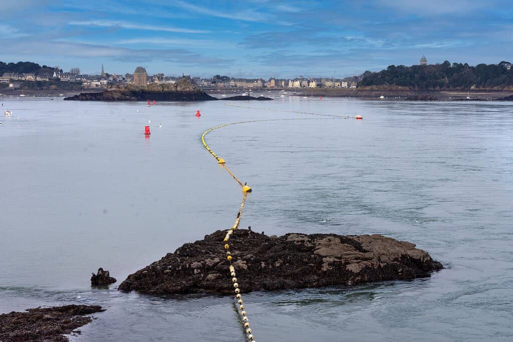 Interactive Exhibits