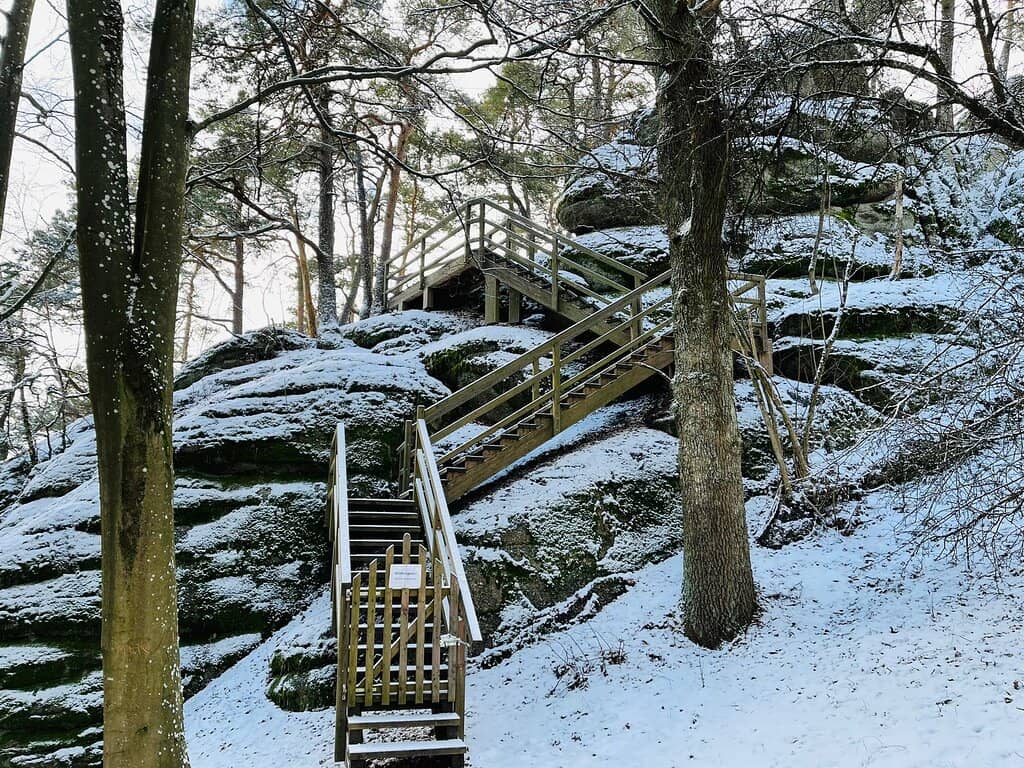 Vertical photo