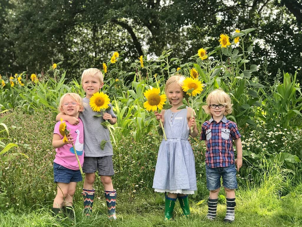 Pick-Your-Own Strawberries