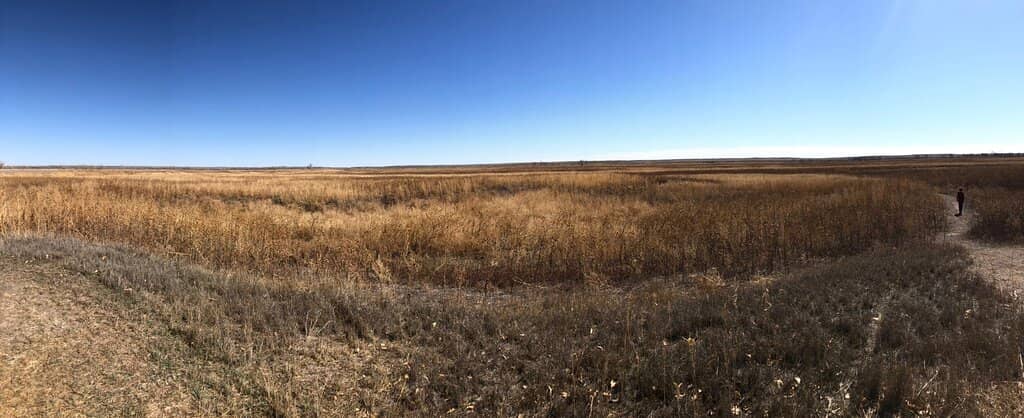 Wildlife Viewing Opportunities