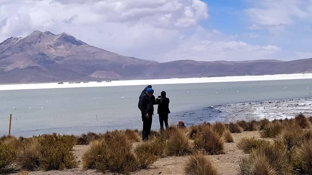Vicuña Encounters
