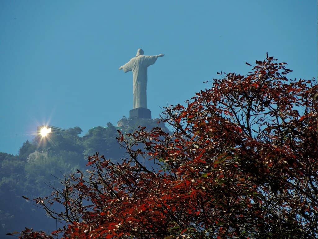 Vertical photo