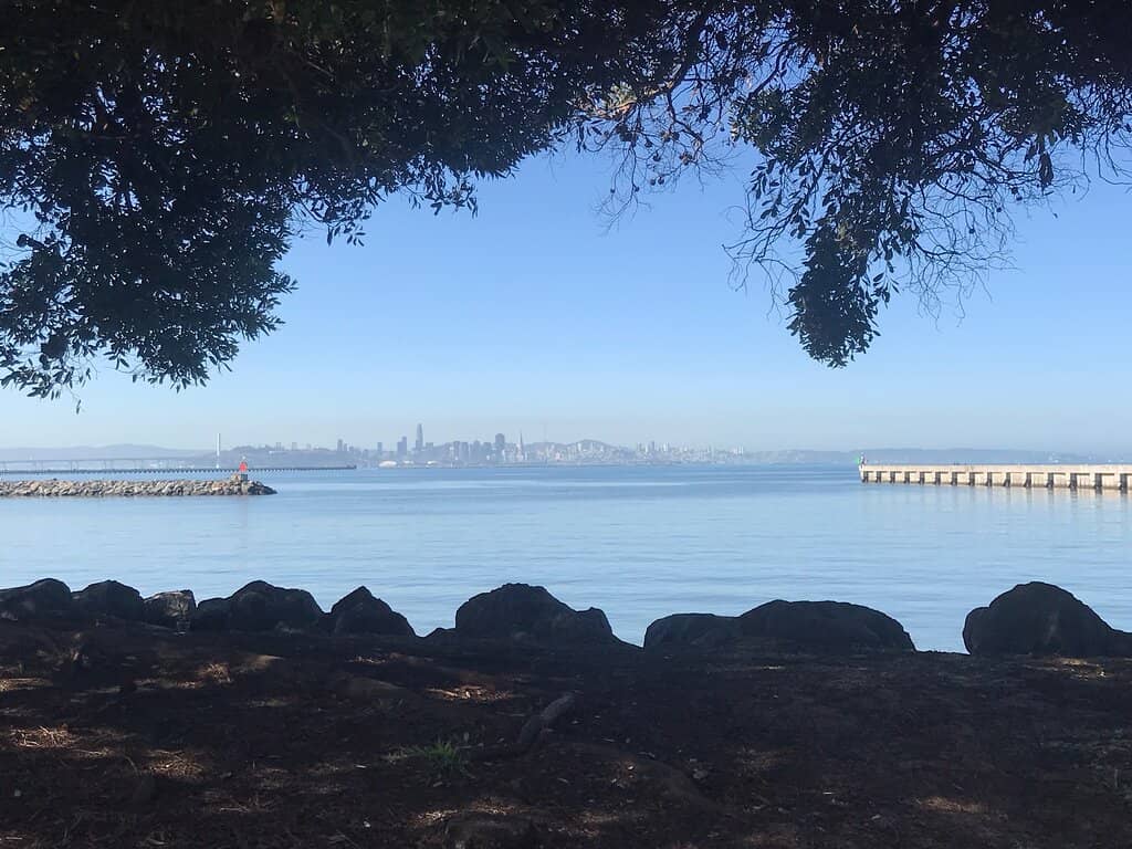 San Francisco Skyline Views