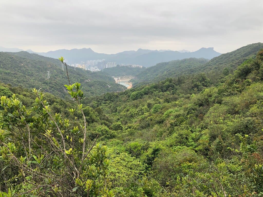 Shing Mun War Relics Trail - viewpoint