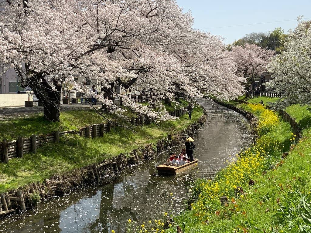 Traditional Boat Ride