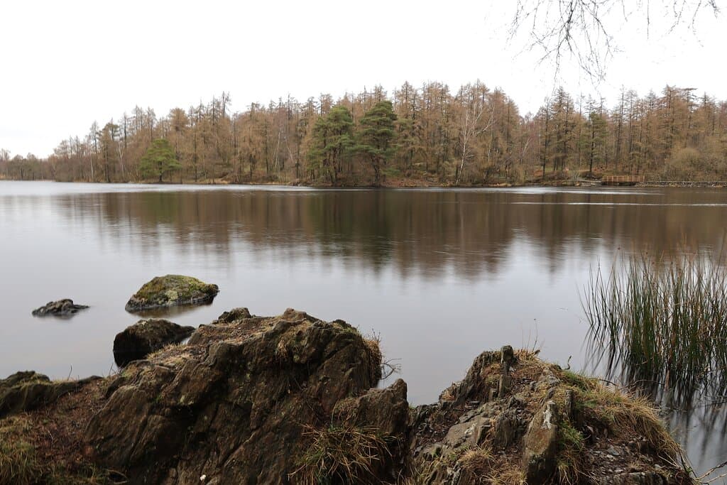 Tarn