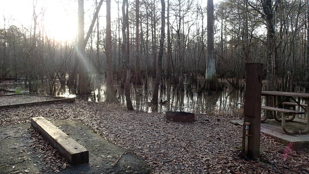 Canoe & Kayak Rentals