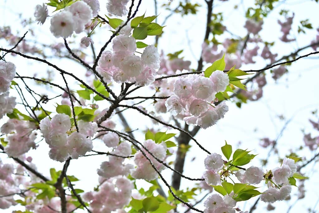 Panoramic Ocean Views