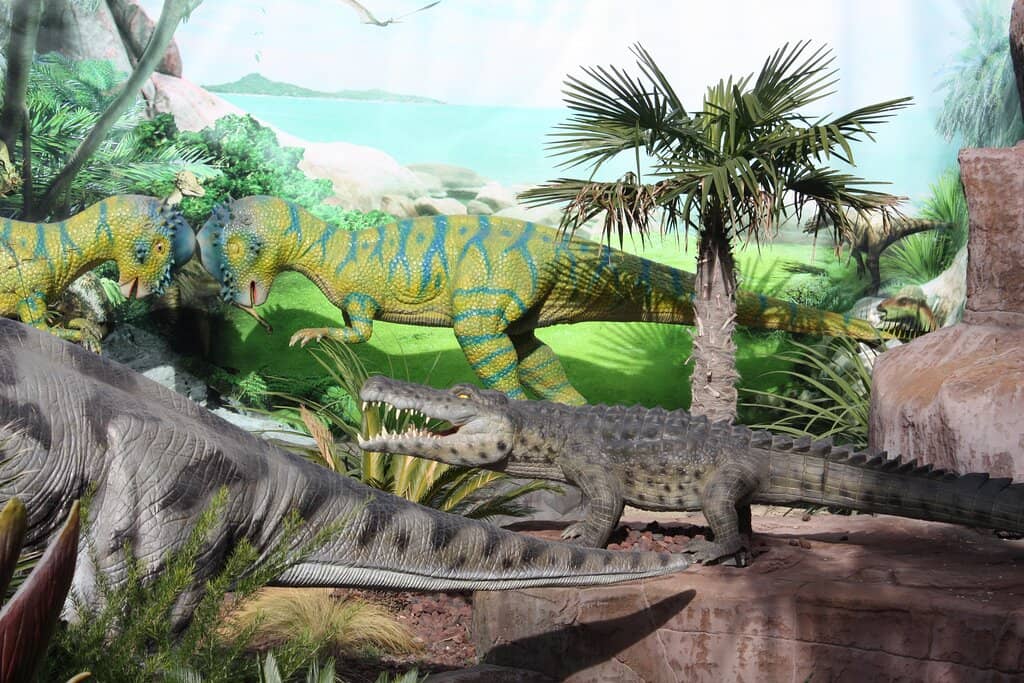 Dinosaur Exhibits