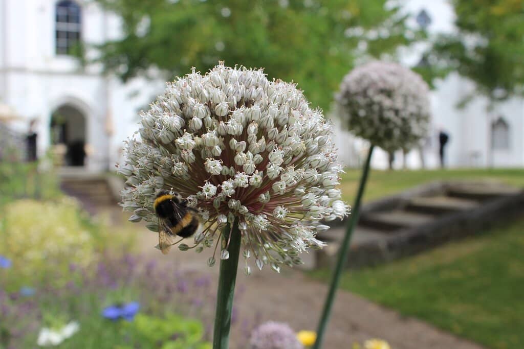 The "Fantasy Gothick" Interiors