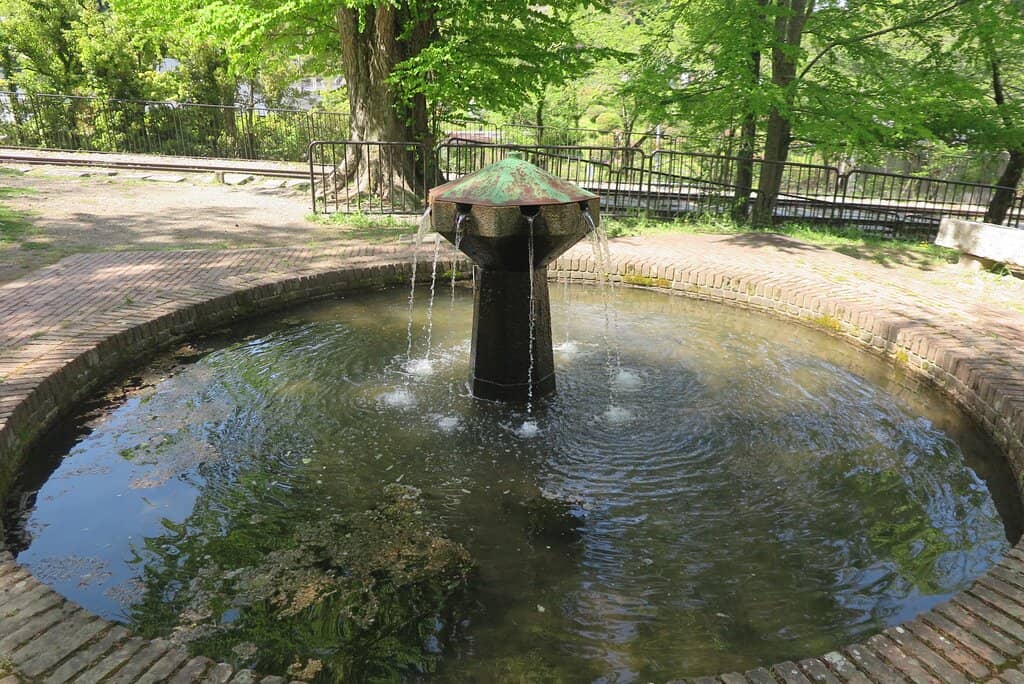 Sakura & Autumn Foliage
