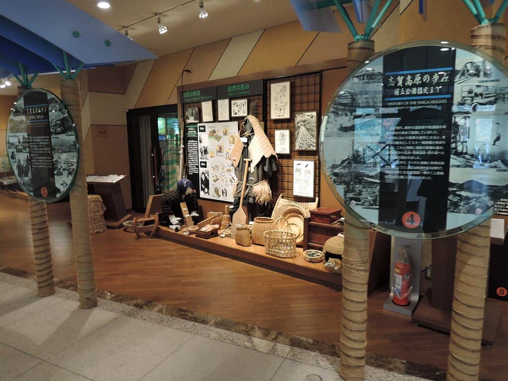 Snowshoeing with Expert Guides