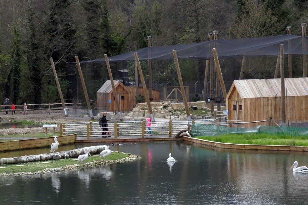 Wildlife Hides