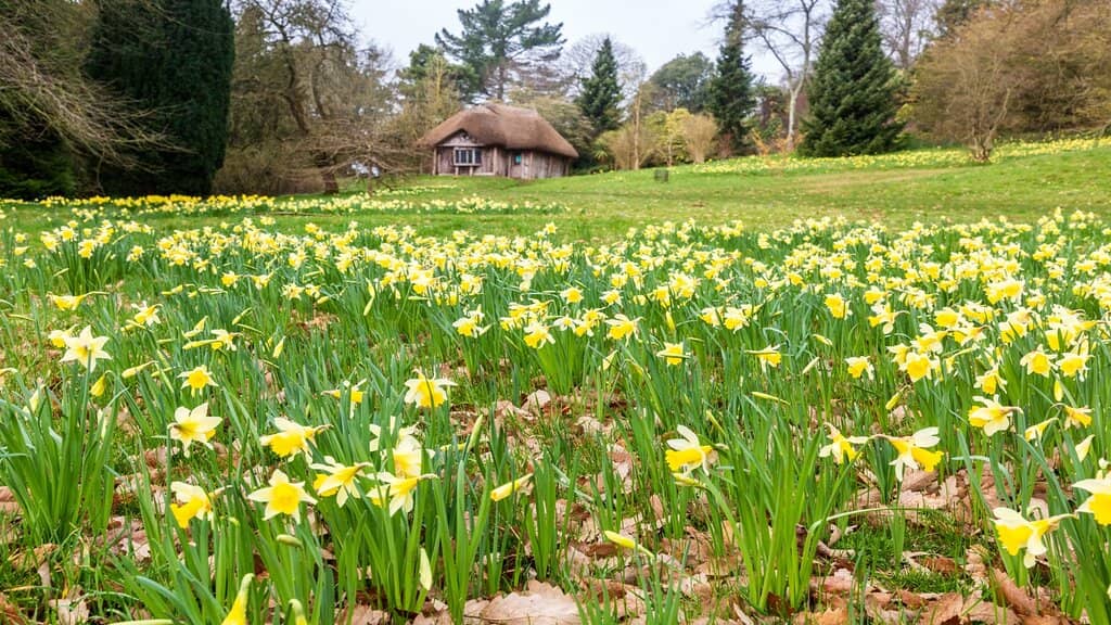 Expansive Gardens & Parkland