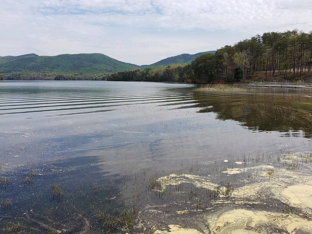 Carvins Cove Reservoir