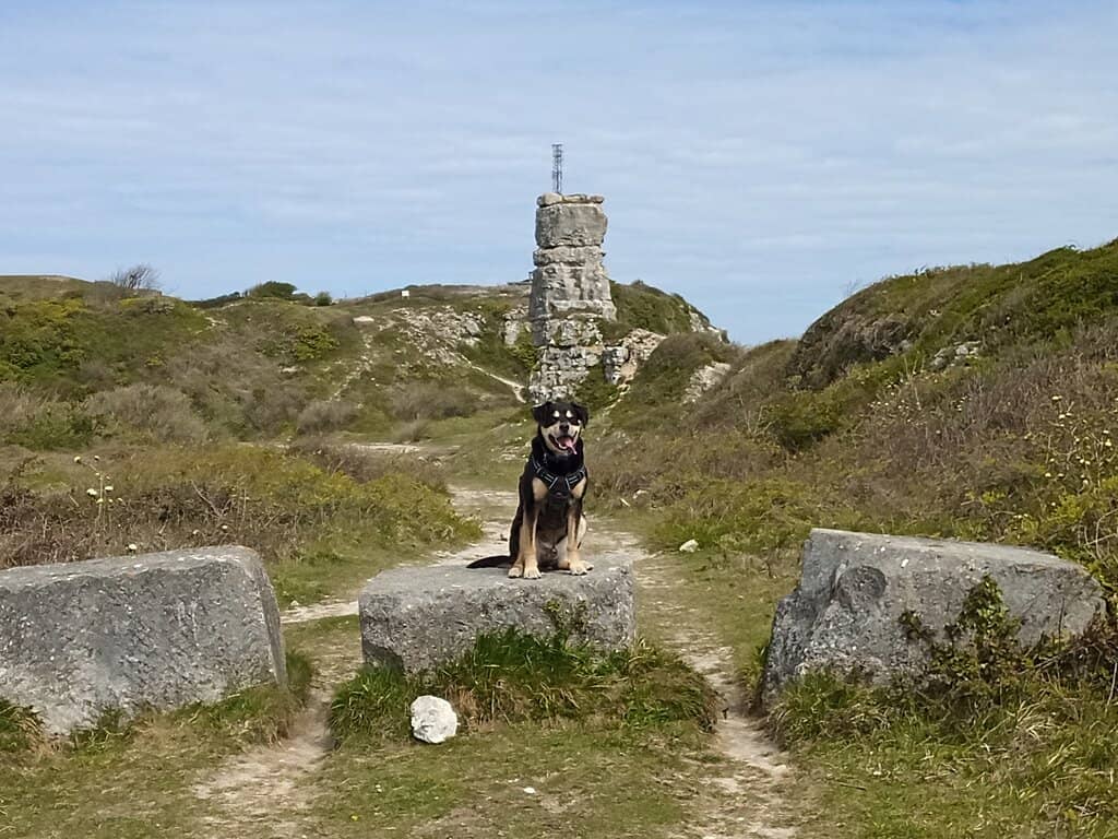 Troop Shelter and Store Buildings