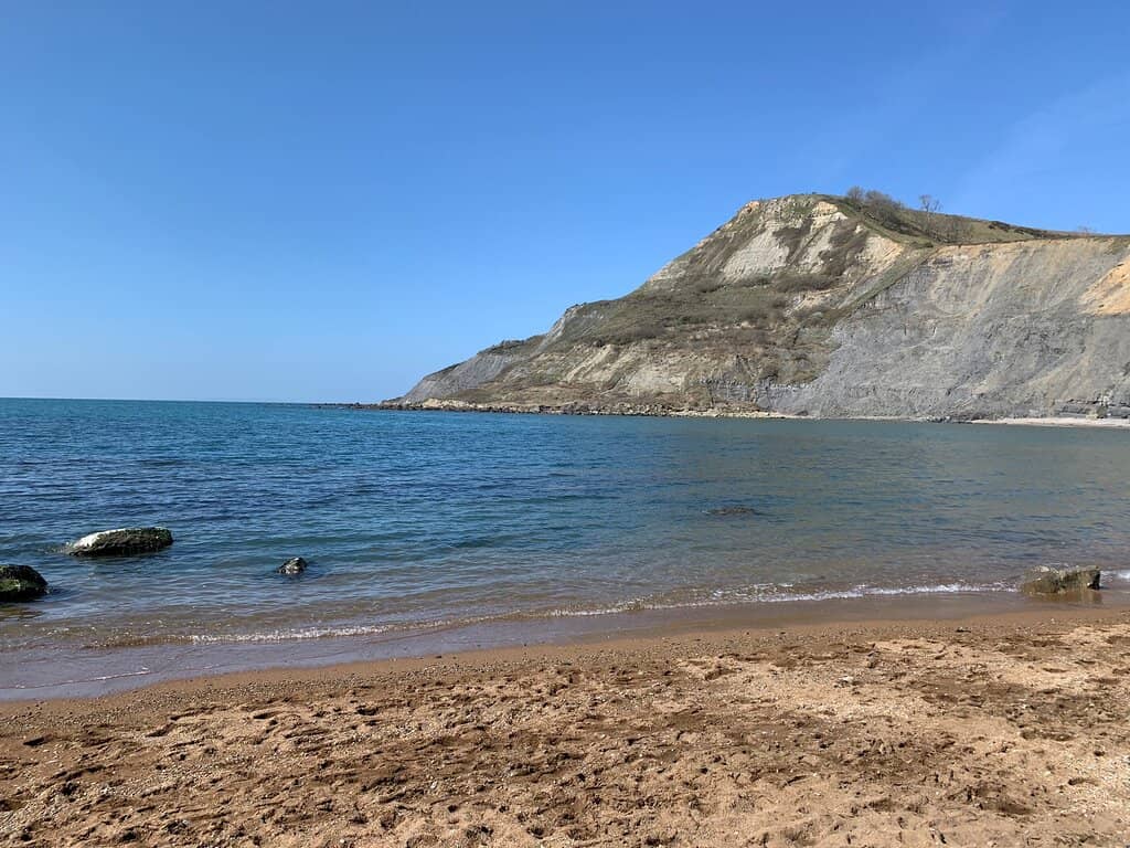 Fossil Paradise