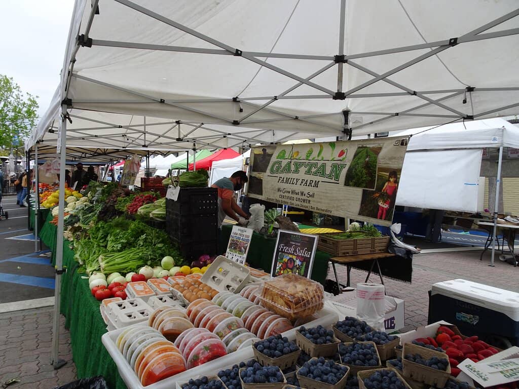 Farmers Market Delights
