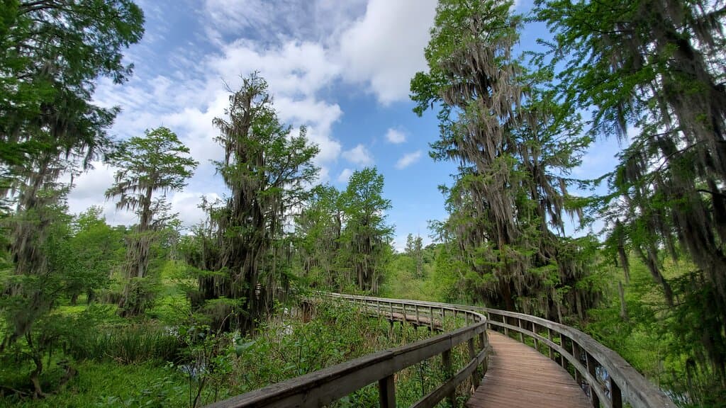 View along the boardwalk.