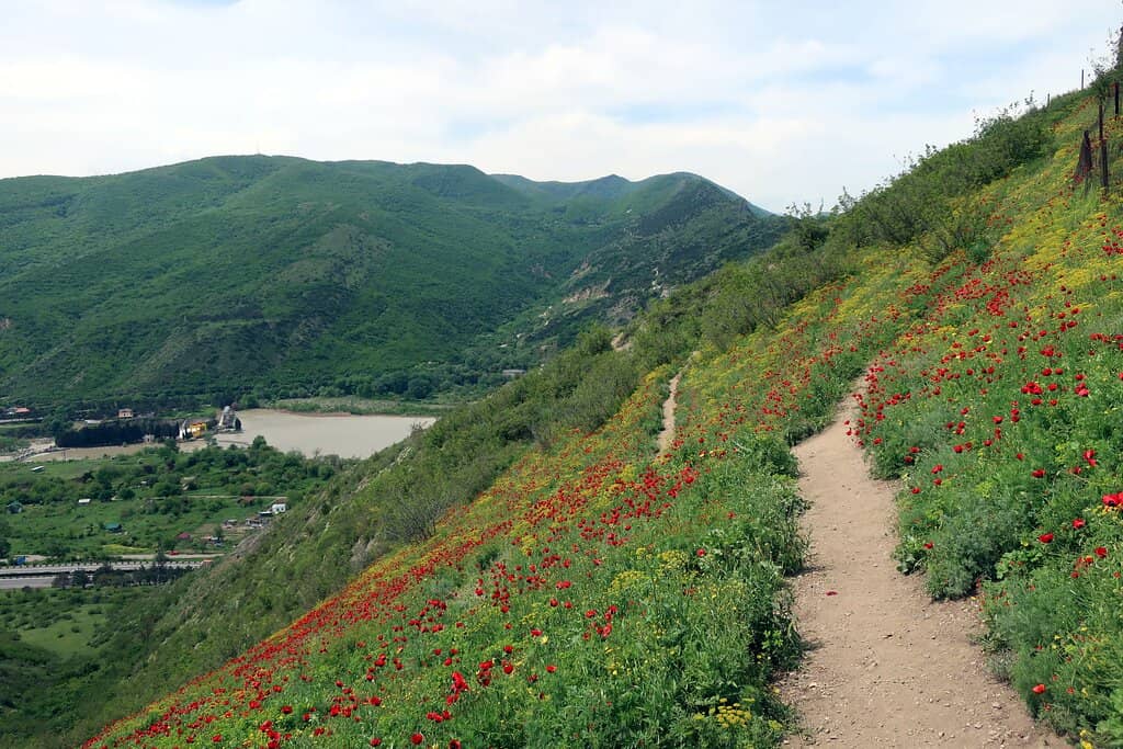 Confluence of Rivers